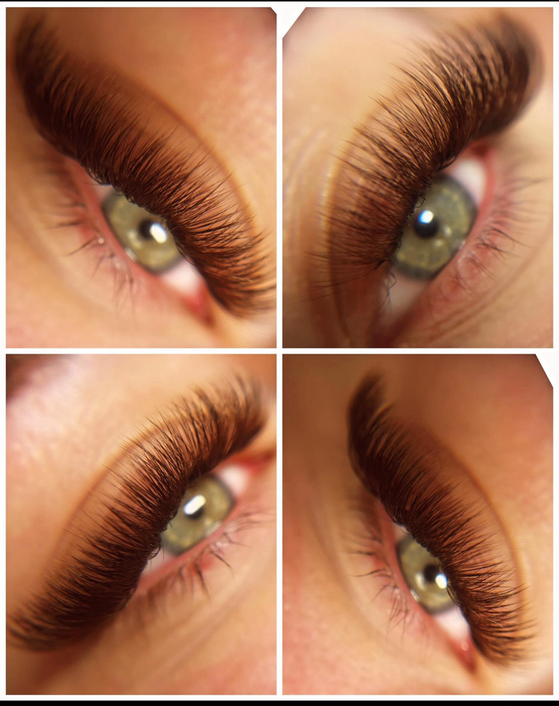 Brown Volume Full Set