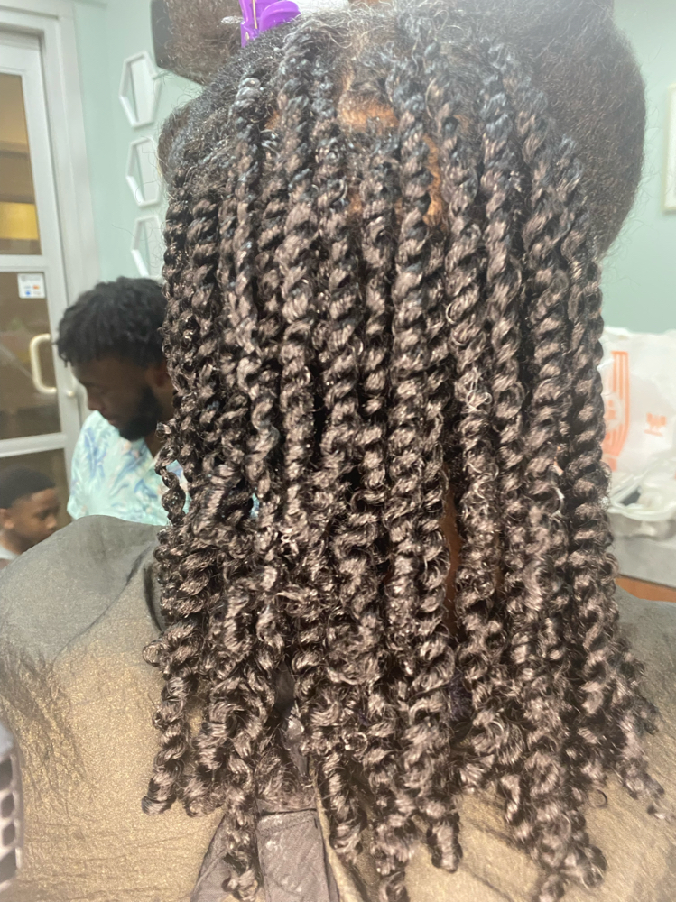 Two Strand Twist