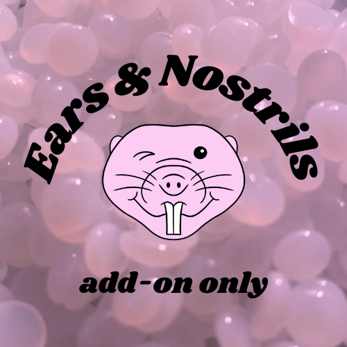 Ears & Nostrils • ADD ON ONLY