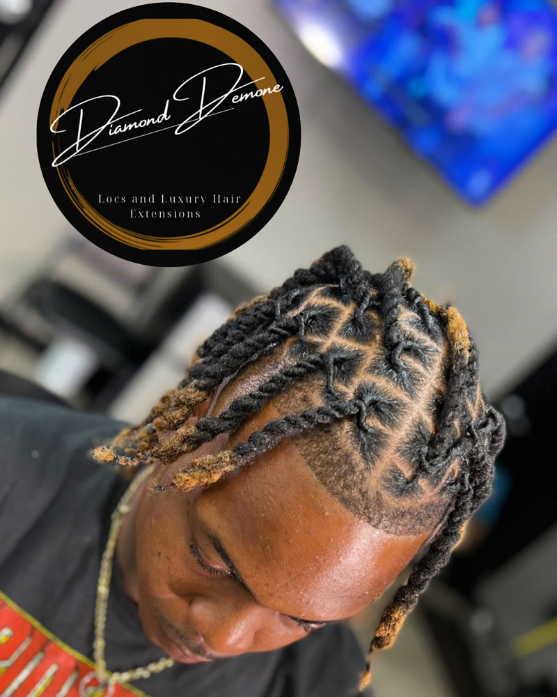 2 Strand Twist On Locs