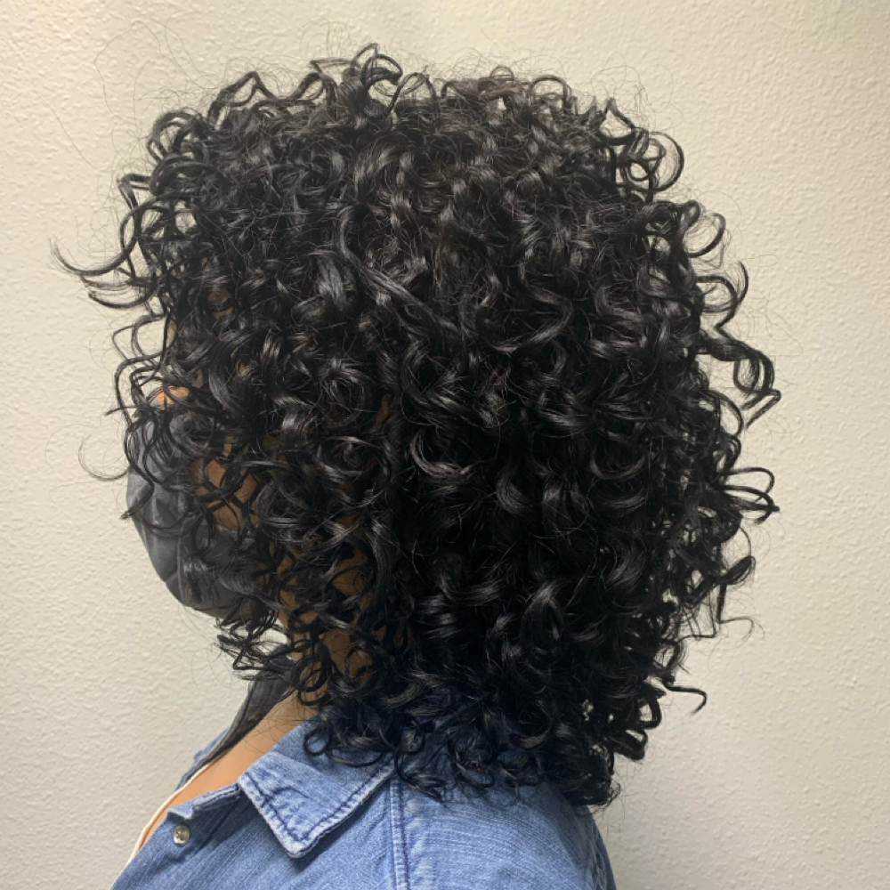 Curly Crown Coverage at Lionessa Beauty in San Diego, CA
