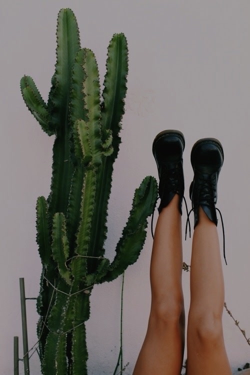 Waxing: Legs Full
