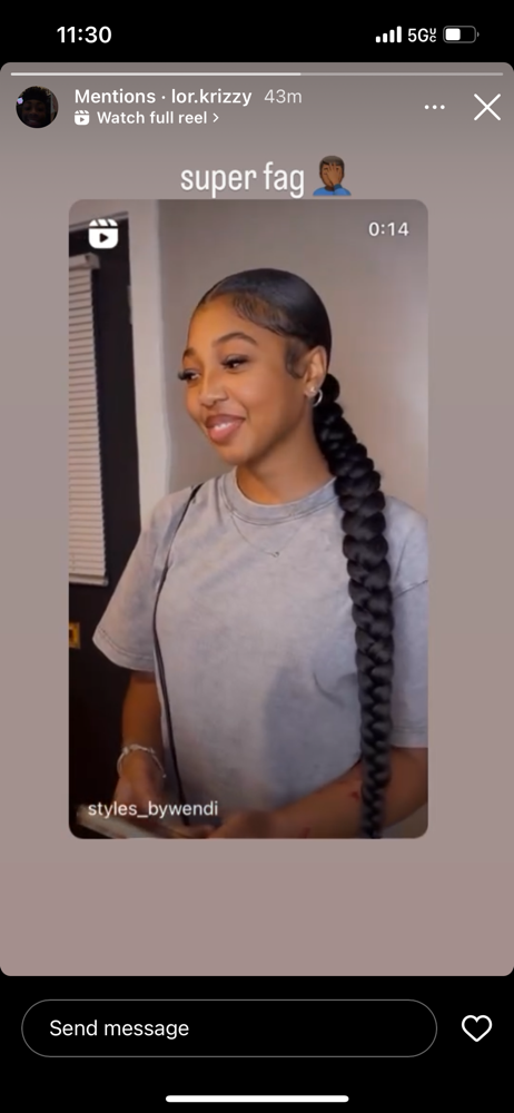 Braided Ponytail
