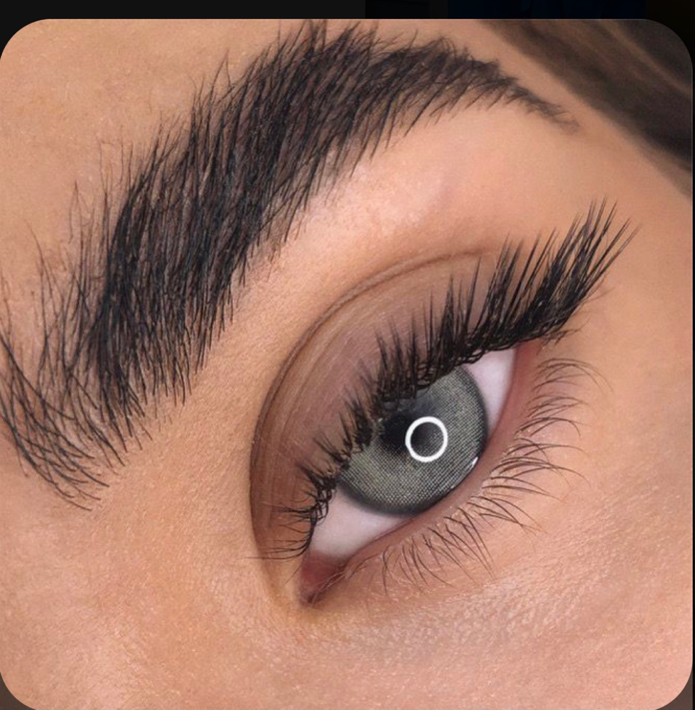 L Curl Volume Fill at Signature Lash Artistry in Chino Hills, CA