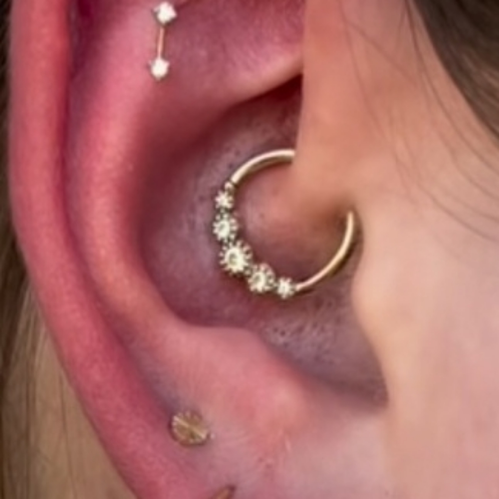 Daith Piercing at Gilded Needle in BRENTWOOD, CA