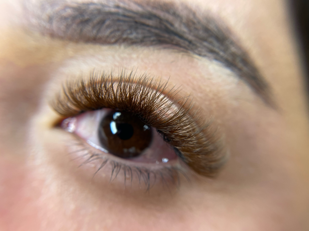 Brown Lash Set