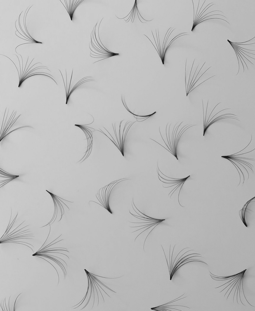 Volume Set Fill