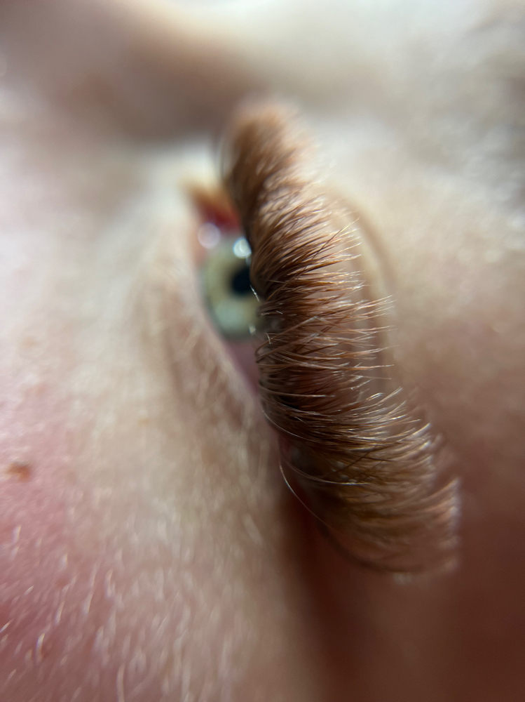 Brown Lashes