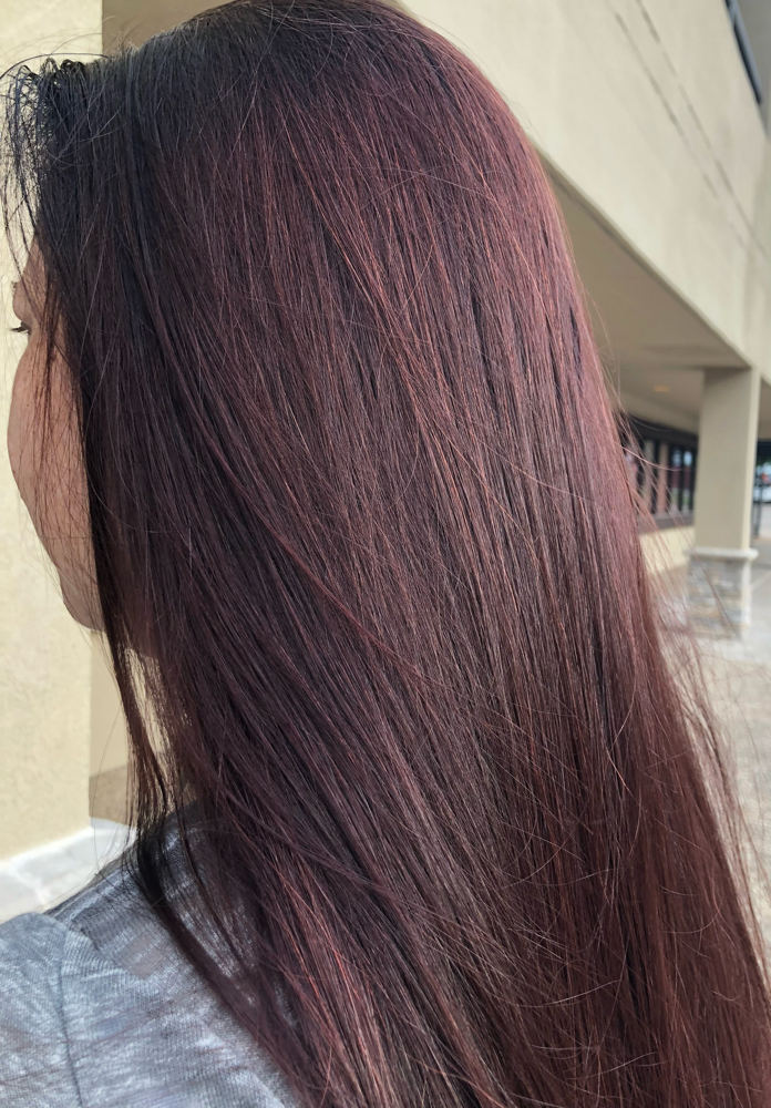 All Over Color at J’s Chic Hair in Arlington, TX