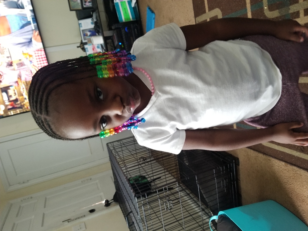 Natural Kids Braids (No Hair Added)