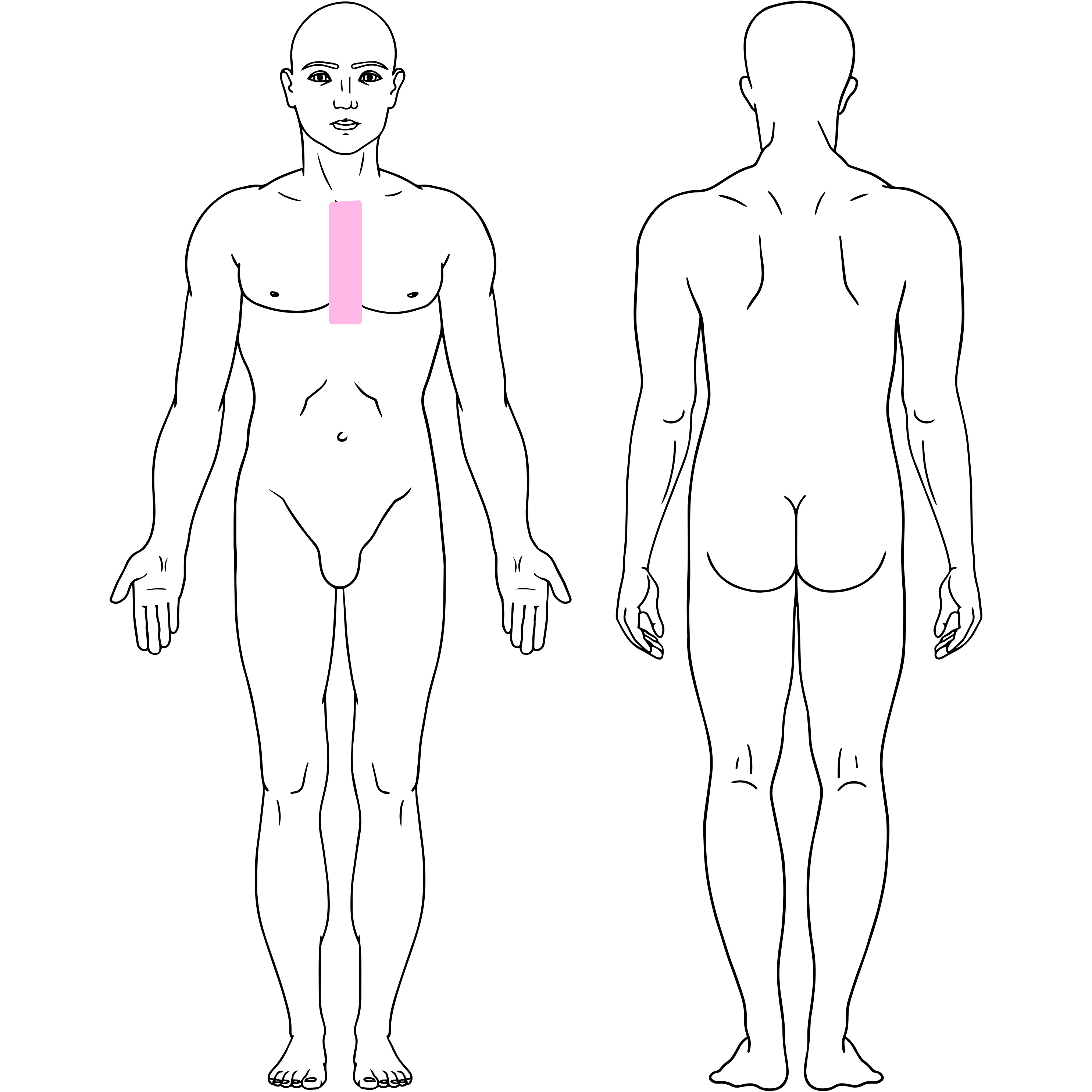 Chest Trail