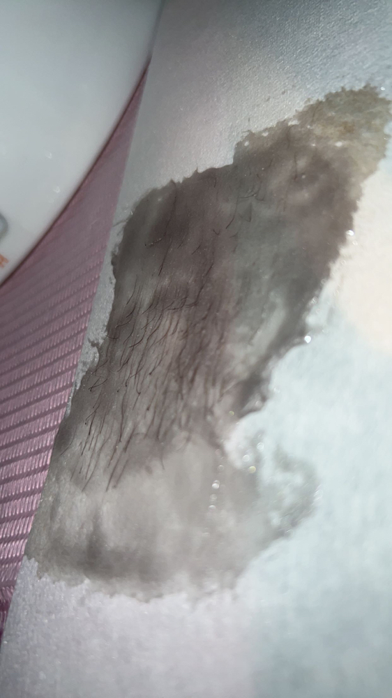 Stomach Wax