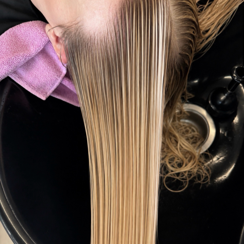 ALL OVER TONER AND BLOWDRY at Hair and Makeup by Gisaura in Savannah, GA