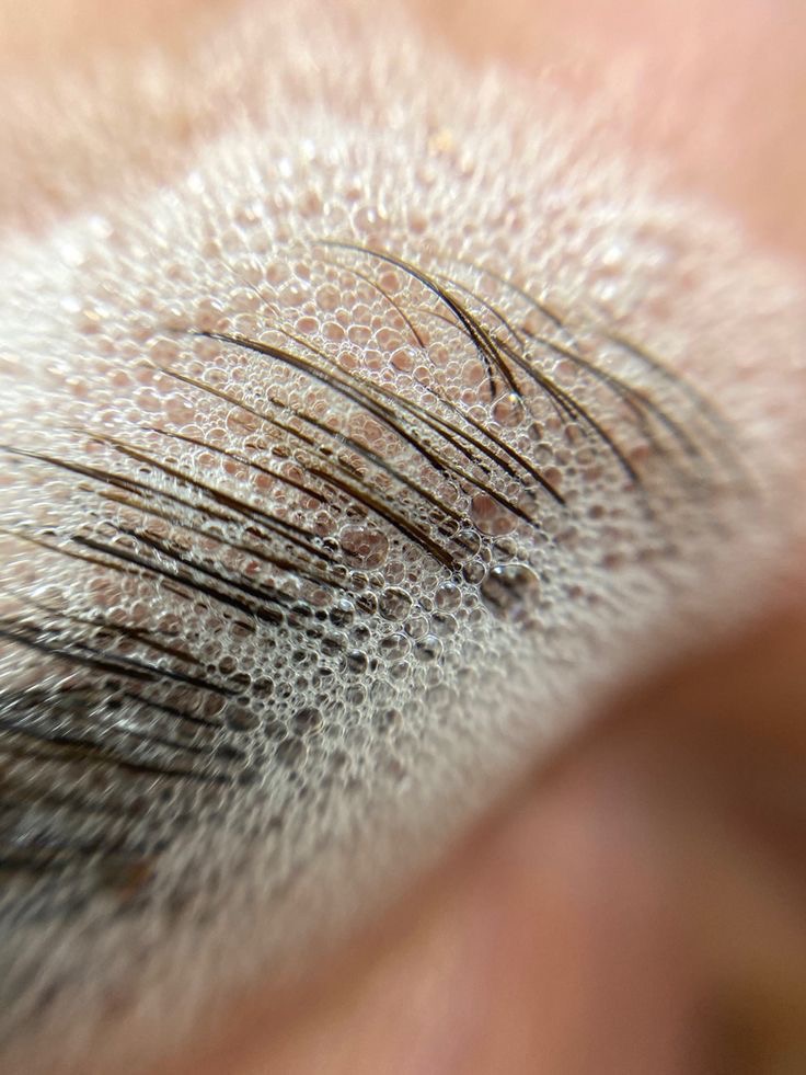 Ciela's Signature Brow at the ciela suite in southlake, TX