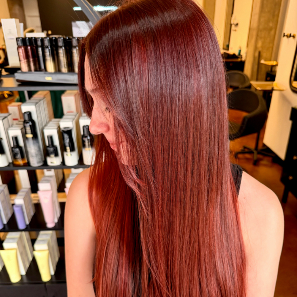 All Over Color at Modern Mane Hair Co in Spring, TX
