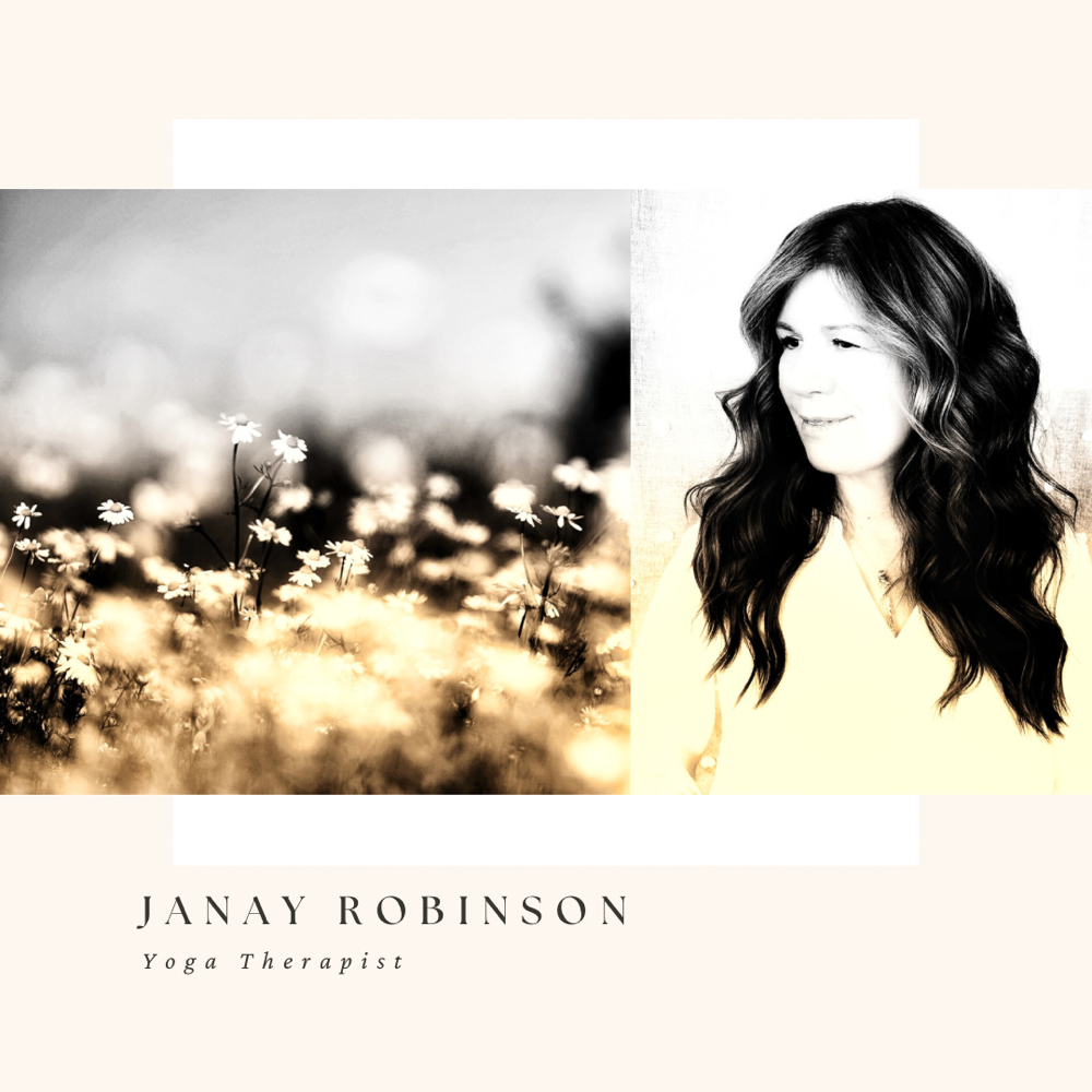 Yoga Therapy Series – Nourishing A New Way: Embracing The Language Of Emotion