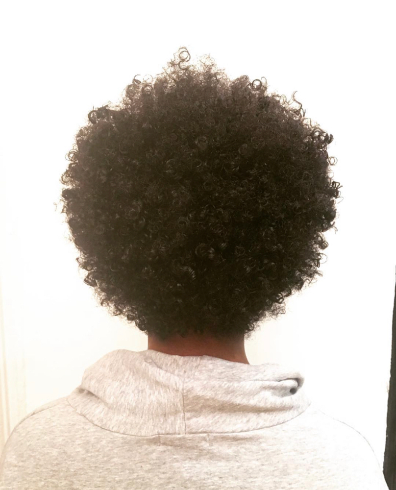 Curly Cut w/ Wash + Go Style