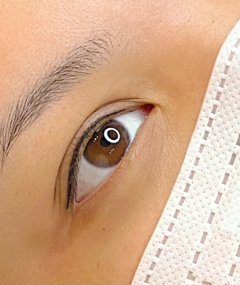 4/8 Week, Lash Line  Touch Up