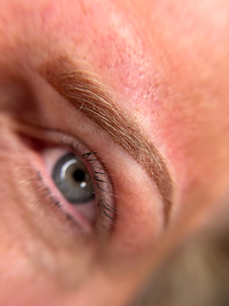 Brows - 5-8 Week Free Touch Up