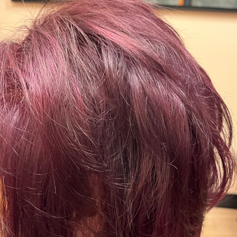 Color Retouch/ All Over at Julie’s Hair Haven in Colorado Springs, CO