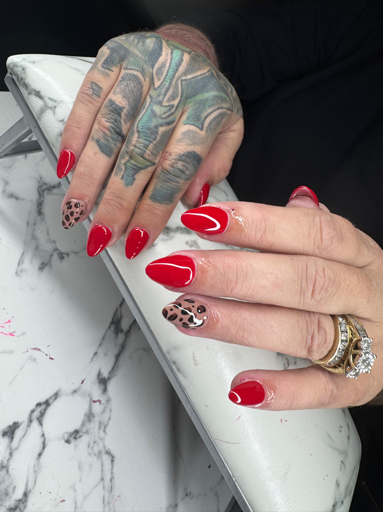 Basic Acrylic Set