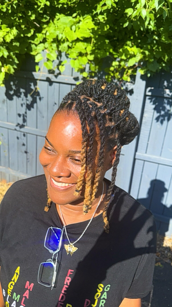 Rope Twist Locs /color