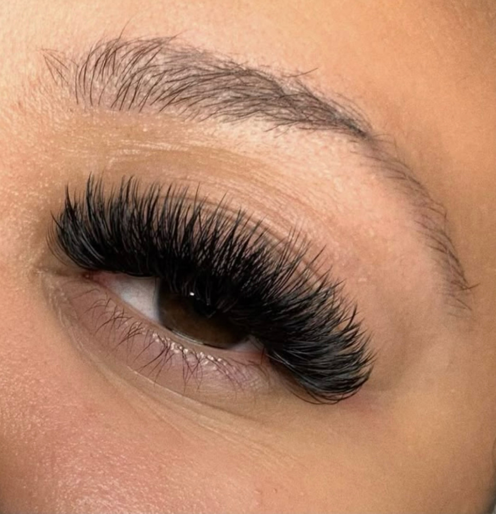 Mega Volume Lashes