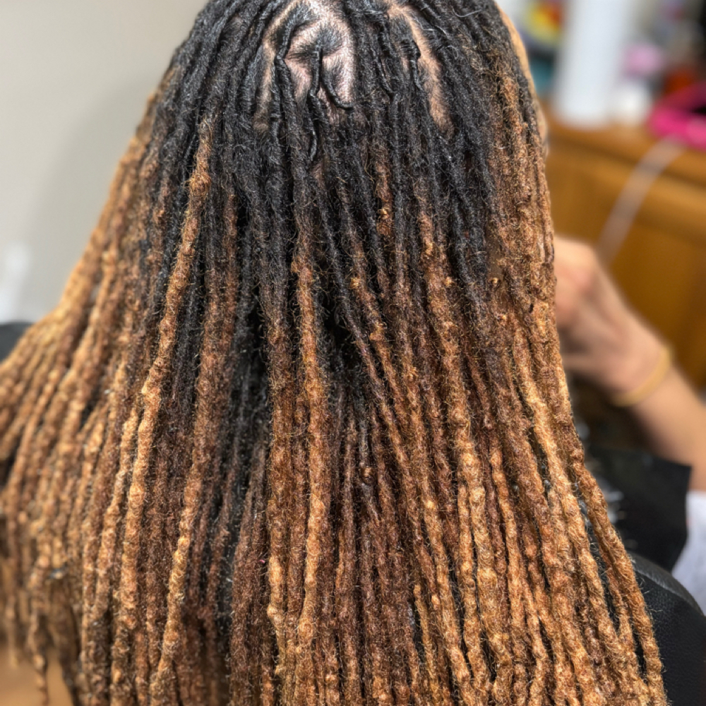 Coloring Services at Royal Roots in Oak Park, MI