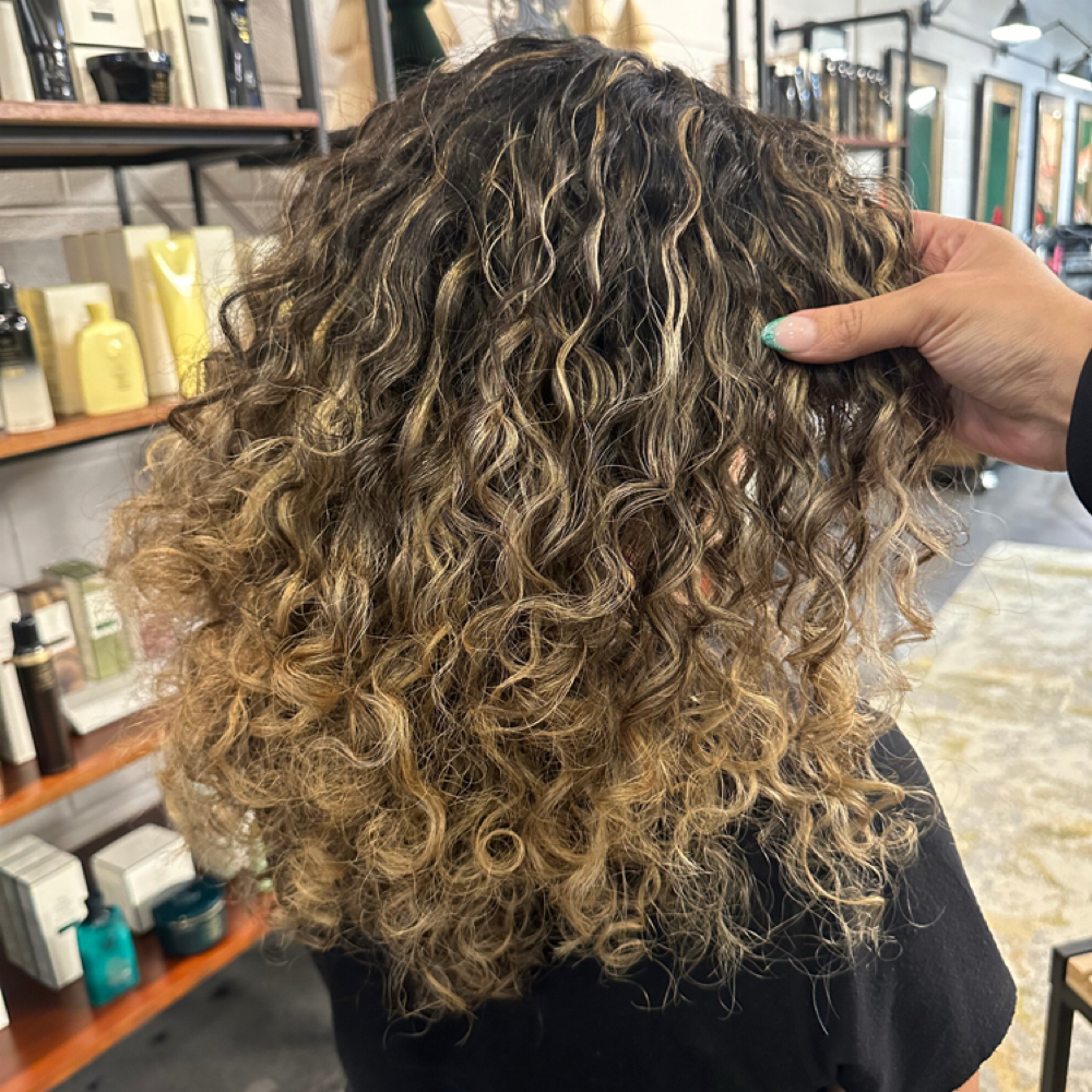 Curly Haircut at The Mane Experience in Burr Ridge, IL