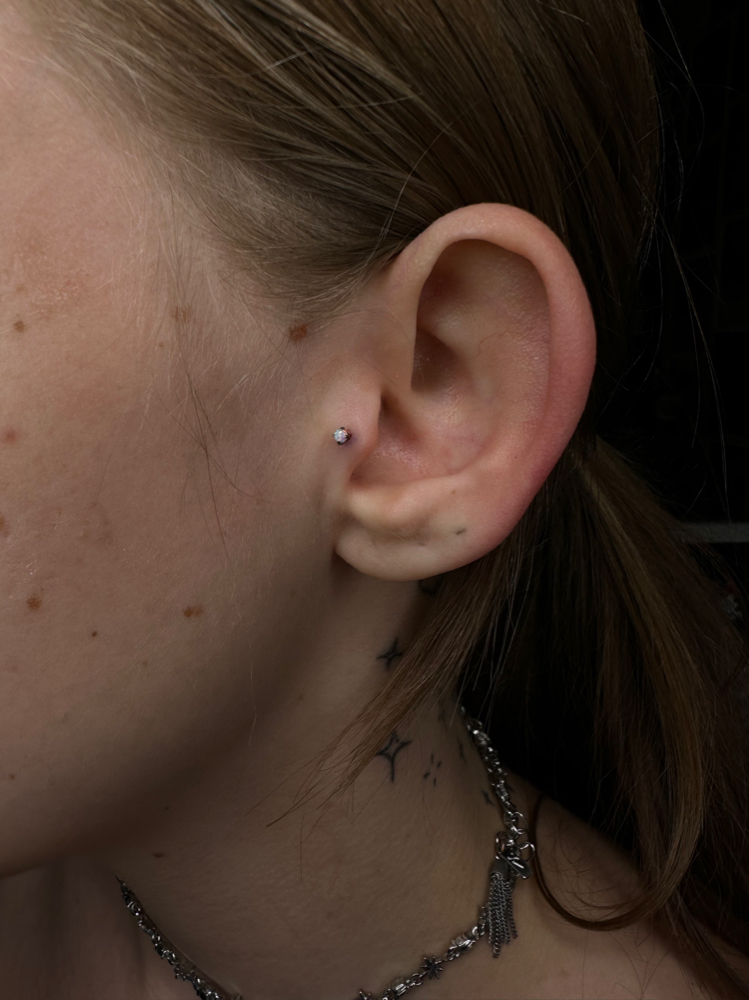 Tragus Piercing