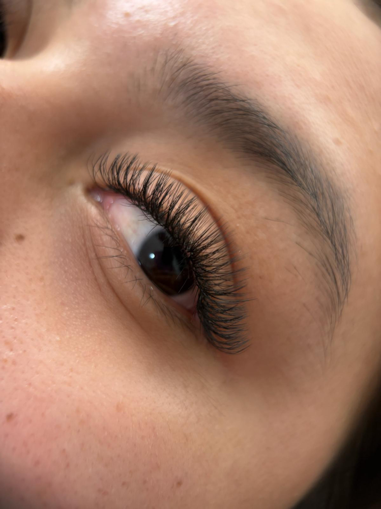 Lash Extensions