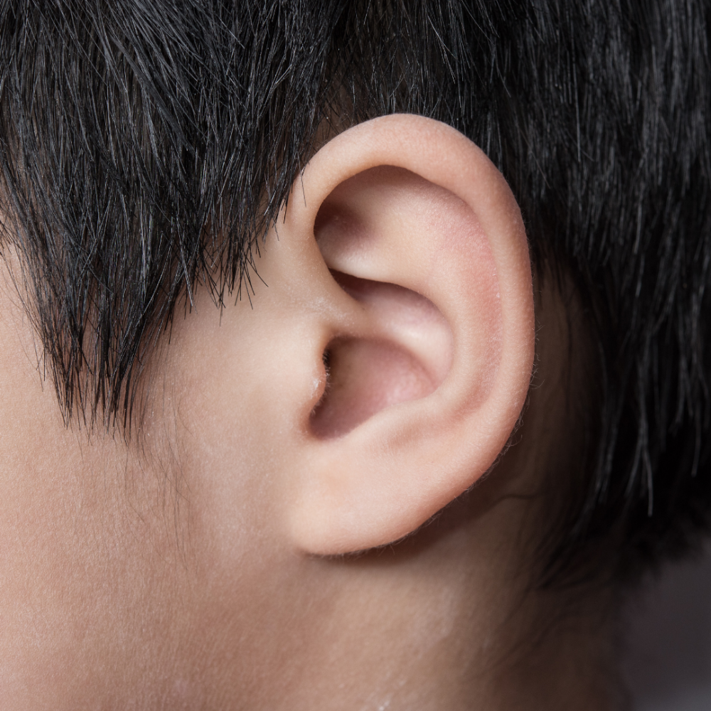 Ears