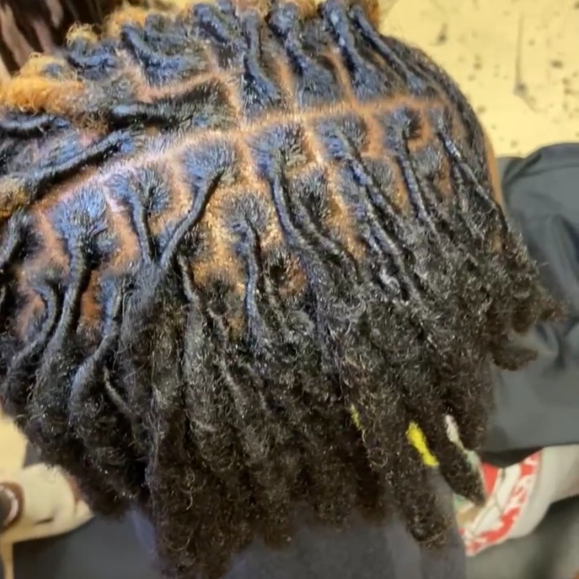 Loc Palm Roll (Half Head) at Beyond Essence and Beauty in Reynoldsburg, OH