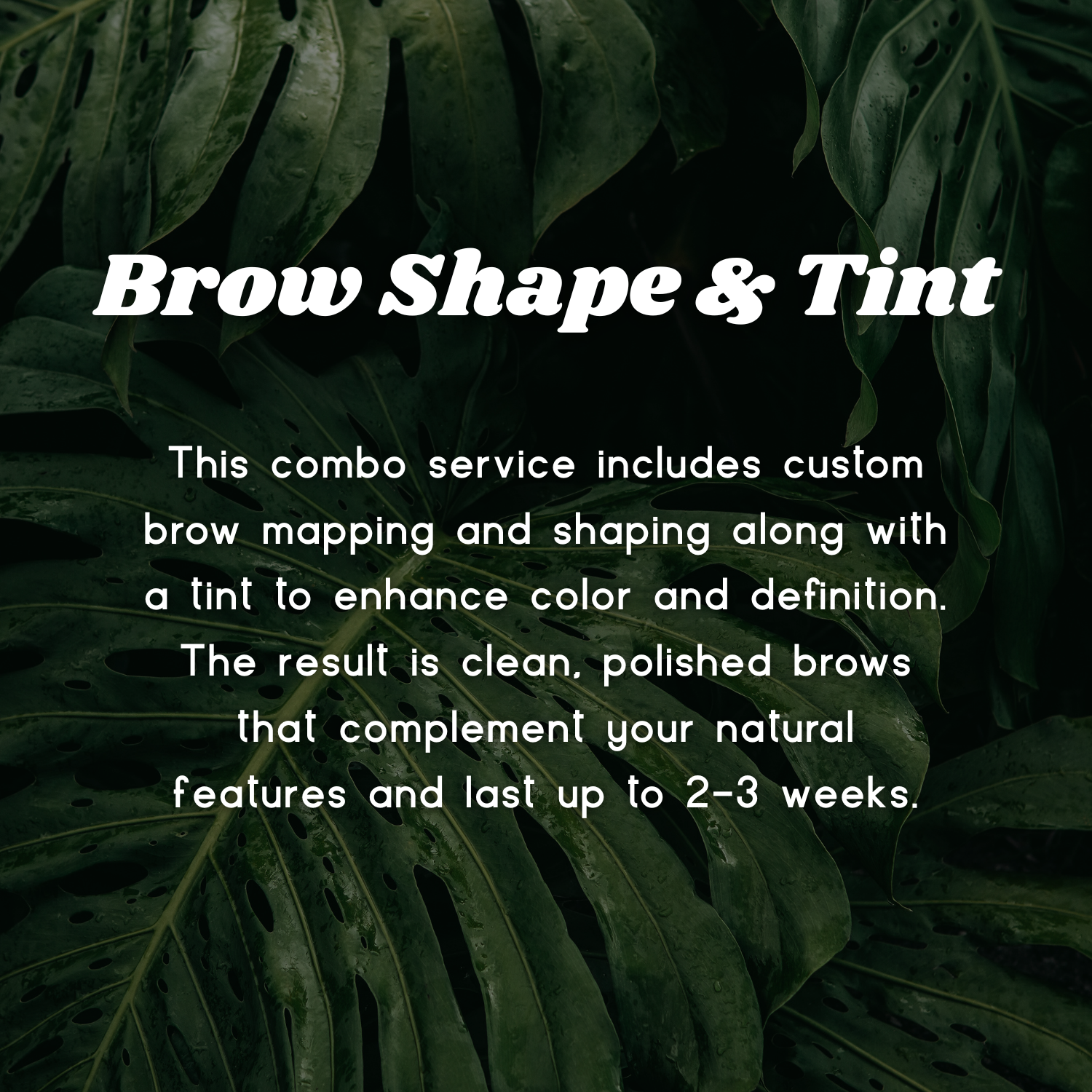 Brow Shape & Tint