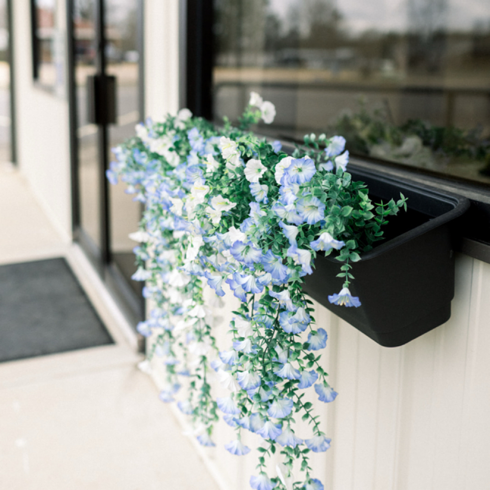 Full Head Color at El Esthetics & Beauty Co. in Glenmora, LA