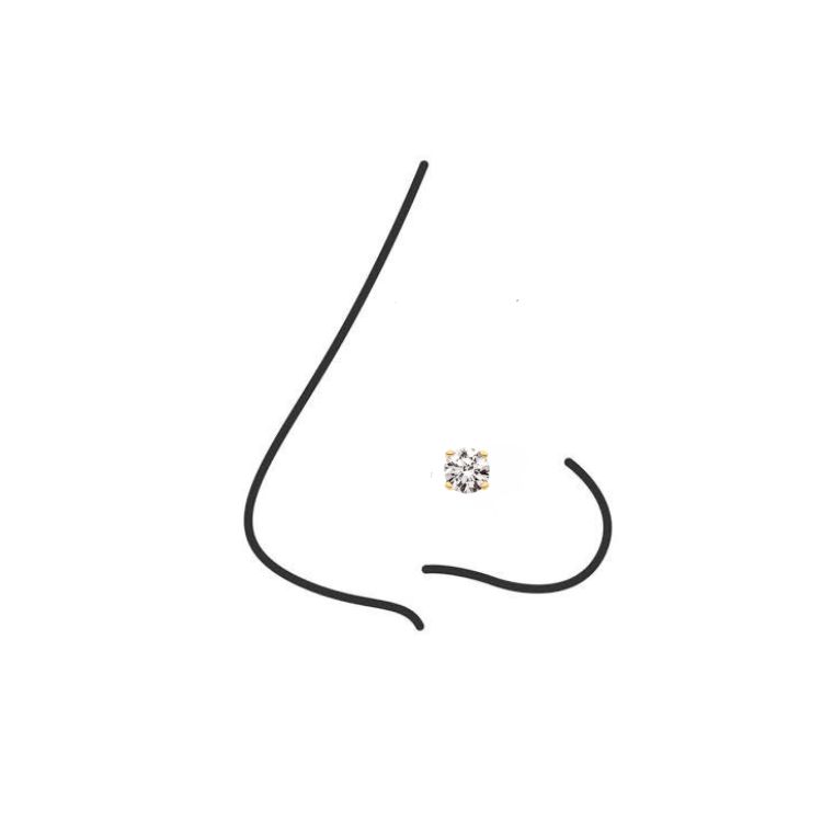 Nostril (Jewelry Included)