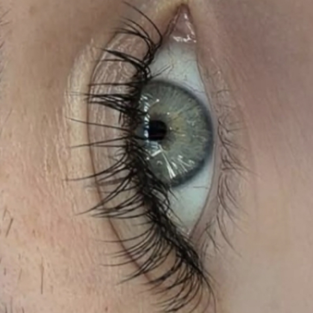 CLASSIC SET at Lashes by Sadie in Arab, AL