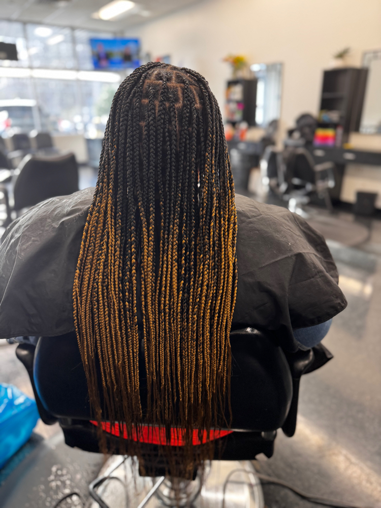 Knotless Medium Size