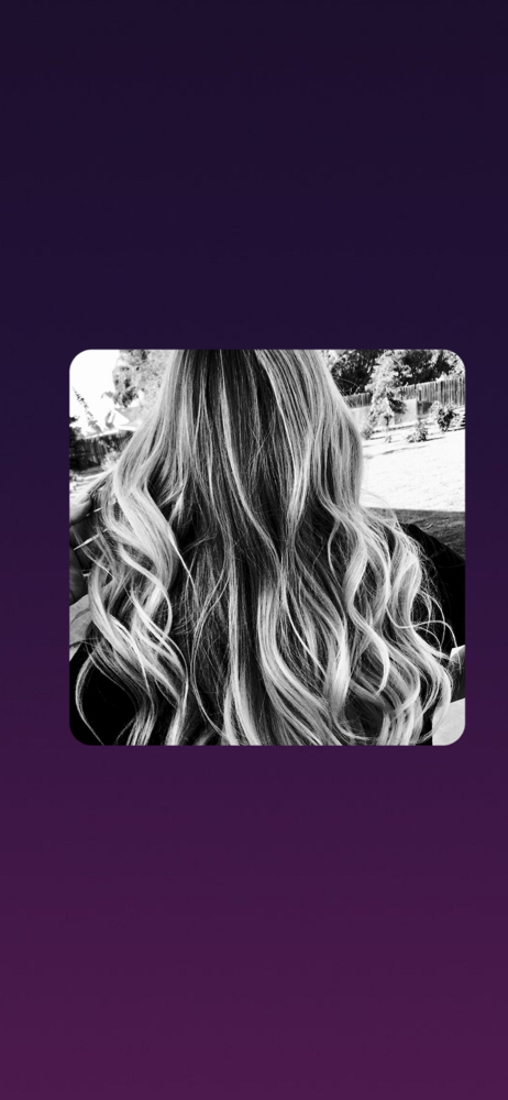 Highlights