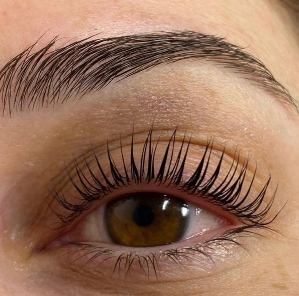 Lash Lift And Tint at We Love Fantasy in Palm Beach Gardens, FL
