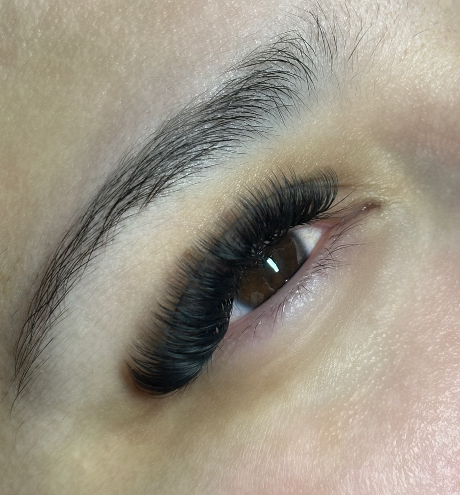 Black Lash Full Set 🖤