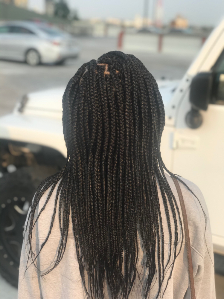 Box Braids (Medium) Bra Strap