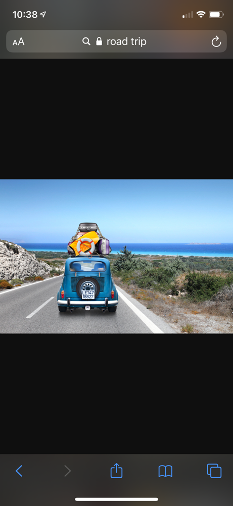 Travel Service Fee