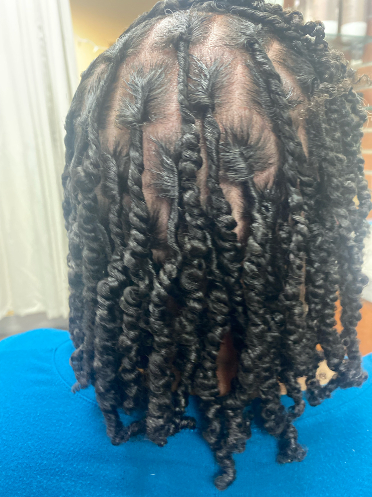 Starter Locs