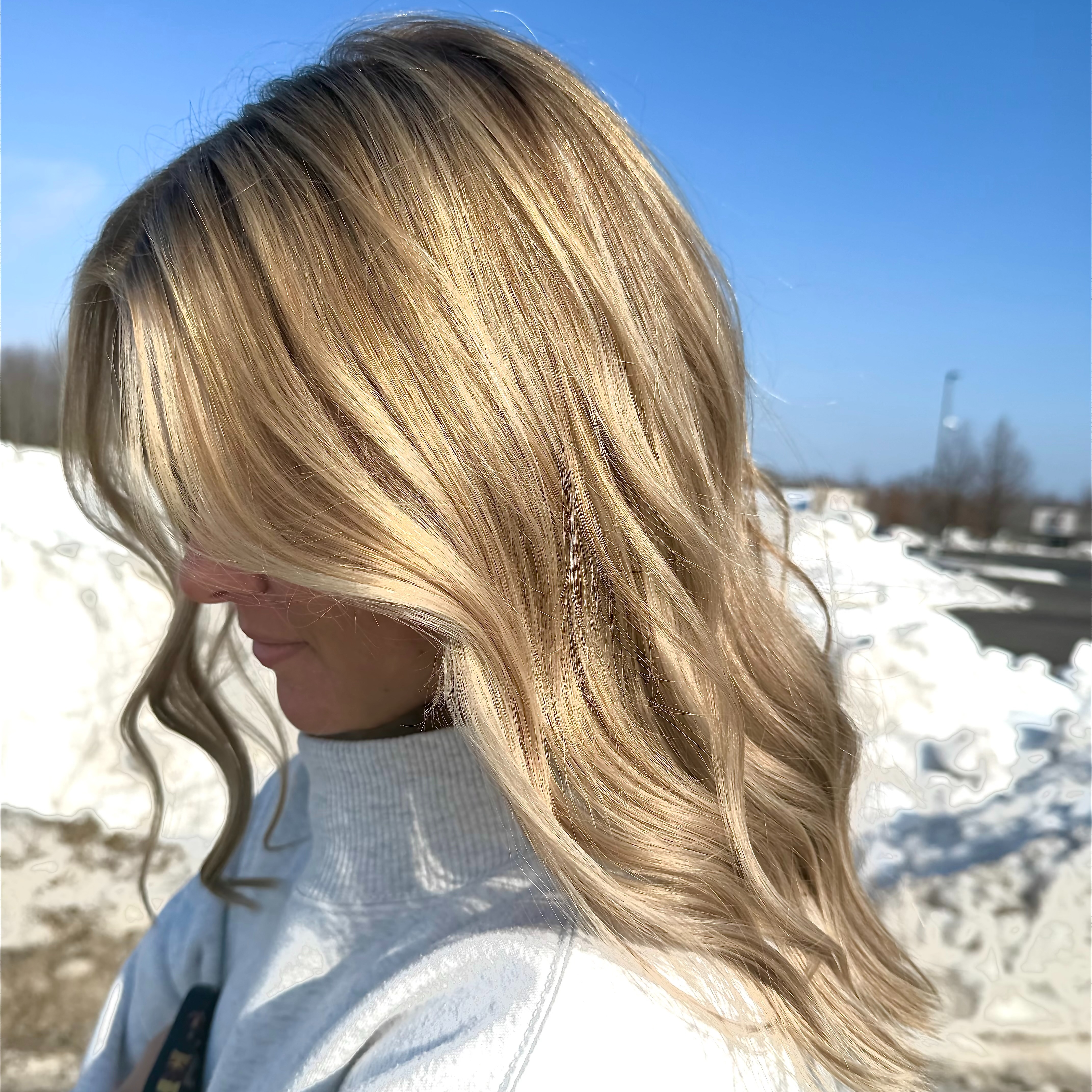 Partial Highlight Package at Hair by Holley Marie in Roscommon, MI