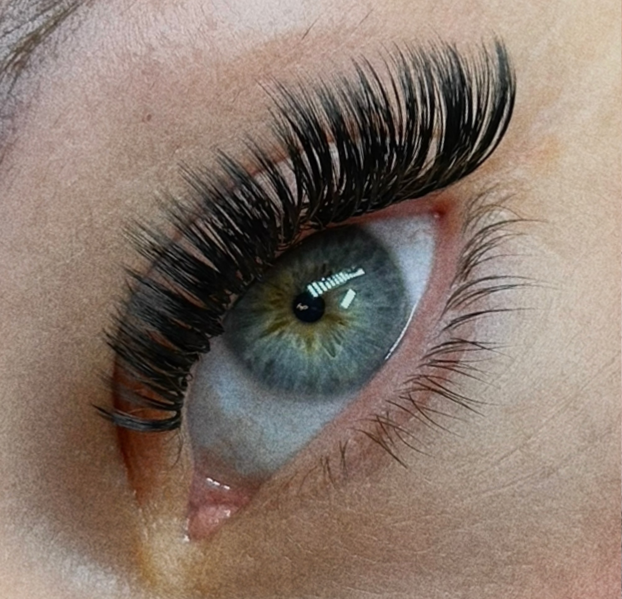 Light Volume 2-3 Week Fill-In