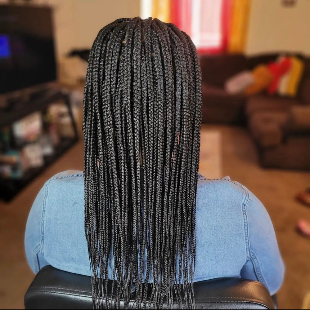 Knotless/Box Braids(sml-shoulder L)