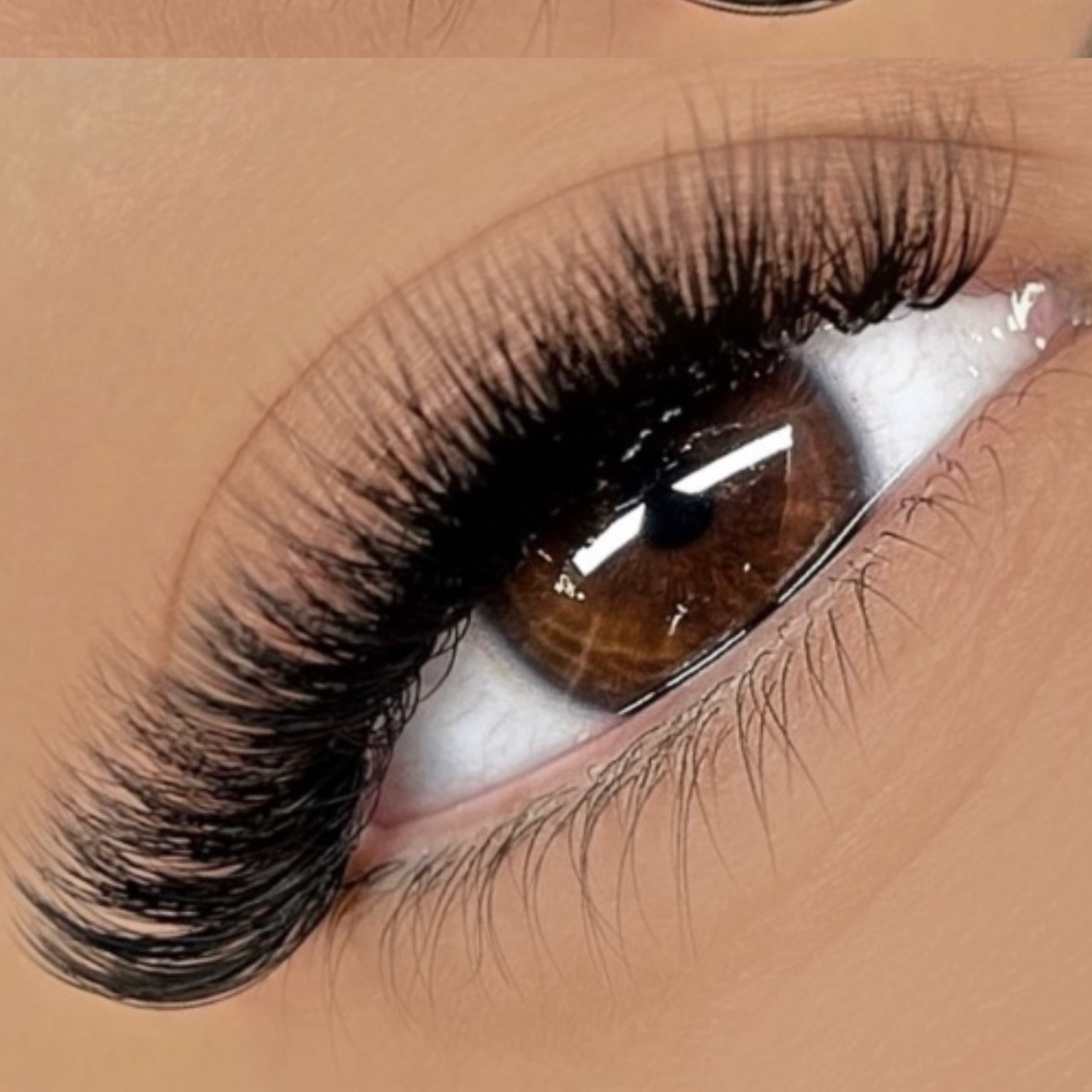 Regular Volume at Novas Beauty Artistry in Rancho Cucamonga, CA