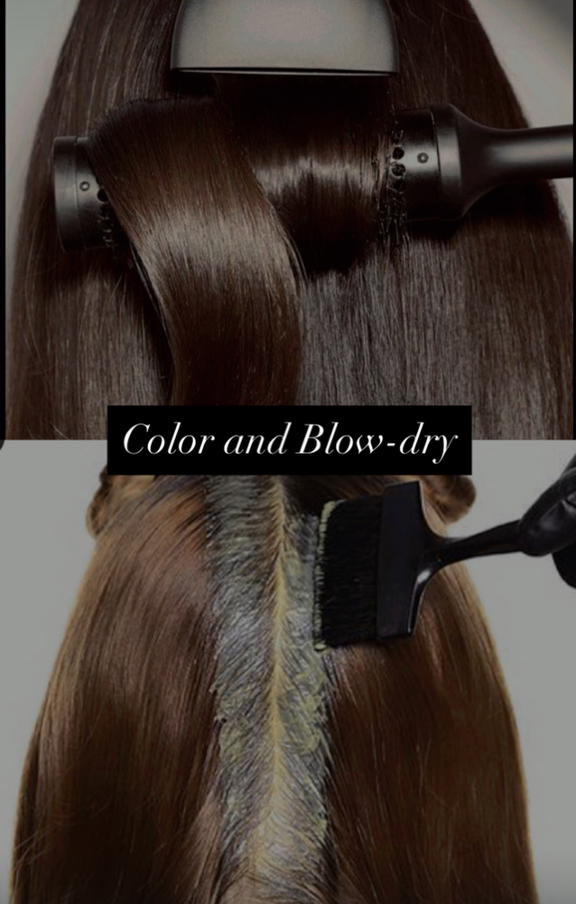 Root Color And Blowdry at DAMI in Midland Park, NJ