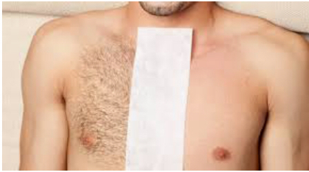 Men’s Chest And Belly Area